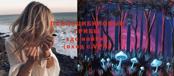 сатива Балабаново