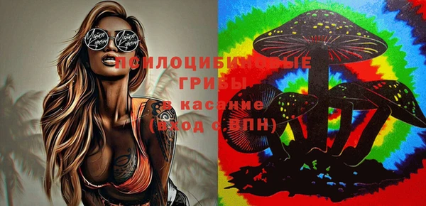 молекула духа Баксан