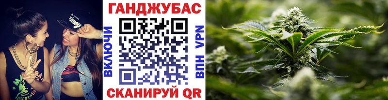Шишки марихуана гибрид  где купить наркоту  Вятские Поляны 